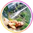 feedback2-profil fotoğrafı