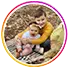 feedback1-profil fotoğrafı